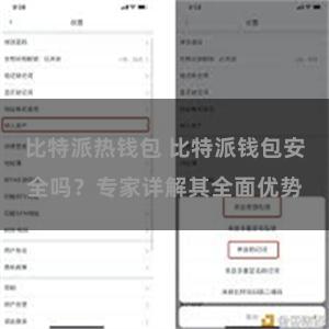 比特派热钱包 比特派钱包安全吗？专家详解其全面优势