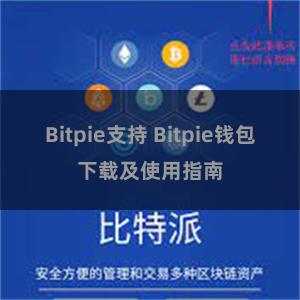 Bitpie支持 Bitpie钱包下载及使用指南