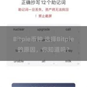 Bitpie币种 选择Bitpie的原因，你知道吗？