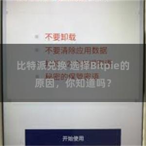 比特派兑换 选择Bitpie的原因，你知道吗？