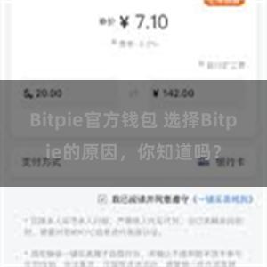 Bitpie官方钱包 选择Bitpie的原因，你知道吗？