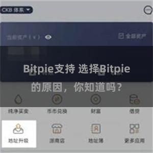 Bitpie支持 选择Bitpie的原因，你知道吗？