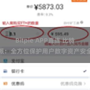 Bitpie APP直连 比特派：全方位保护用户数字资产安全