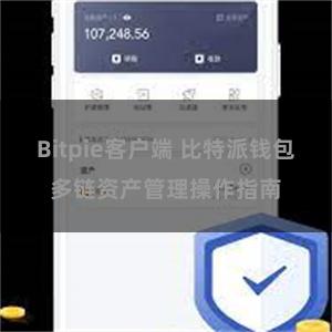 Bitpie客户端 比特派钱包多链资产管理操作指南