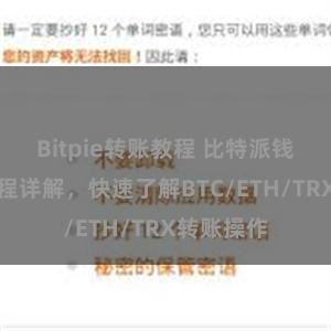 Bitpie转账教程 比特派钱包转账教程详解，快速了解BTC/ETH/TRX转账操作