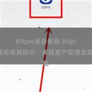 Bitpie最新教程 Bitpie钱包使用技巧：多链资产管理全攻略