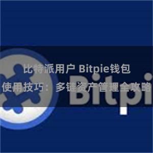 比特派用户 Bitpie钱包使用技巧：多链资产管理全攻略