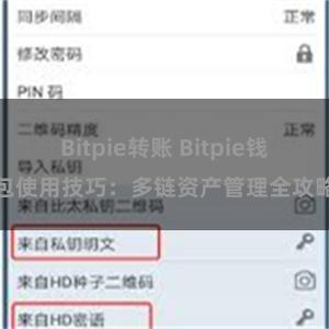 Bitpie转账 Bitpie钱包使用技巧：多链资产管理全攻略