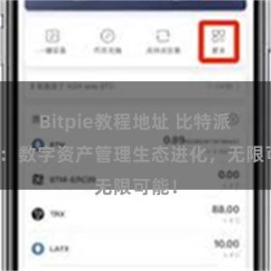 Bitpie教程地址 比特派钱包：数字资产管理生态进化，无限可能！