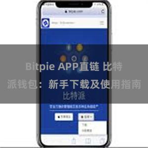 Bitpie APP直链 比特派钱包：新手下载及使用指南