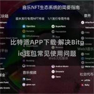 比特派APP下载 解决Bitpie钱包常见使用问题