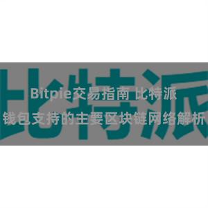 Bitpie交易指南 比特派钱包支持的主要区块链网络解析