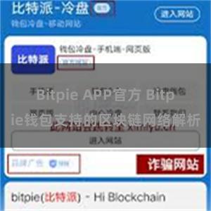 Bitpie APP官方 Bitpie钱包支持的区块链网络解析