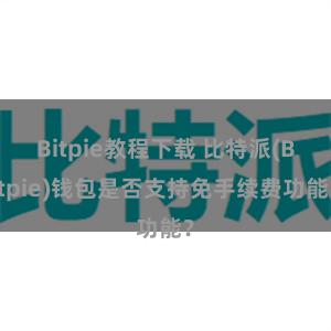 Bitpie教程下载 比特派(Bitpie)钱包是否支持免手续费功能？