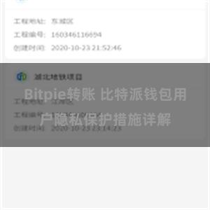 Bitpie转账 比特派钱包用户隐私保护措施详解