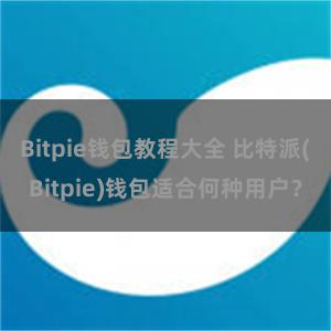 Bitpie钱包教程大全 比特派(Bitpie)钱包适合何种用户？