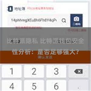 比特派隐私 比特派钱包安全性分析：是否足够强大？
