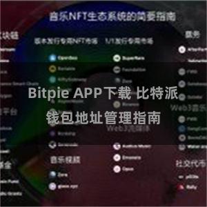 Bitpie APP下载 比特派钱包地址管理指南