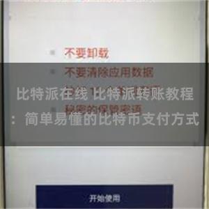 比特派在线 比特派转账教程：简单易懂的比特币支付方式