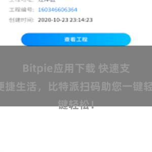 Bitpie应用下载 快速支付便捷生活，比特派扫码助您一键轻松！