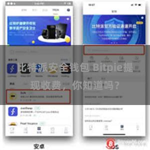 比特派安全钱包 Bitpie提现收费，你知道吗？
