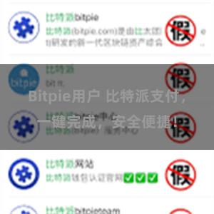 Bitpie用户 比特派支付，一键完成，安全便捷！