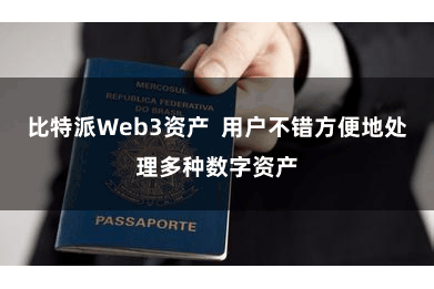 比特派Web3资产  用户不错方便地处理多种数字资产