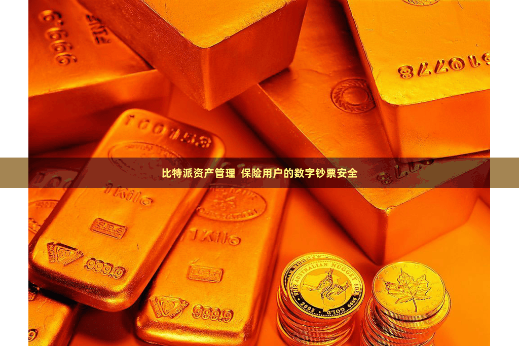 比特派资产管理  保险用户的数字钞票安全