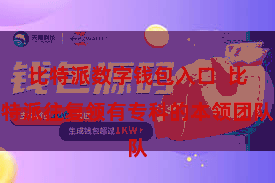 比特派数字钱包入口  比特派往复领有专科的本领团队