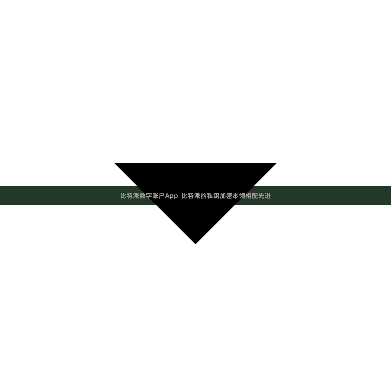 比特派数字账户App  比特派的私钥加密本领相配先进