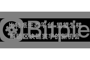 比特派生态平台  望望怎样解锁区块链寰宇的新机会